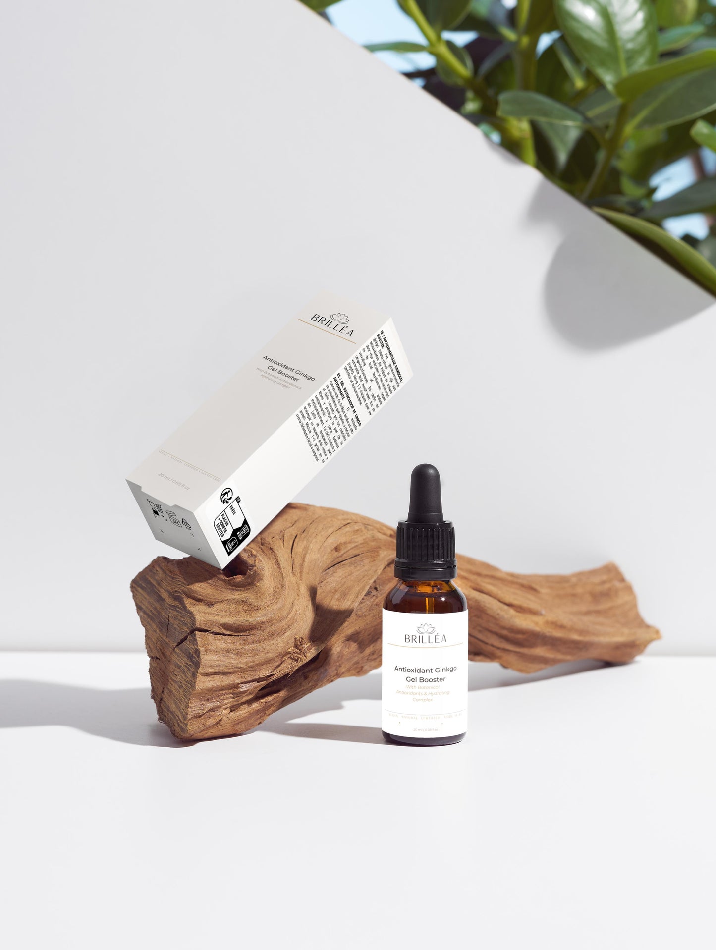Antioxidant Ginkgo Gel Booster - 20ml (15321078890820)